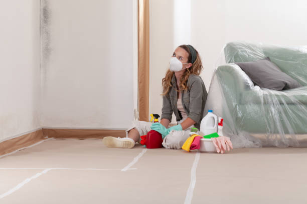 Reliable Mold Remediation contractor in Barrington, IL by WQB Mold Removal